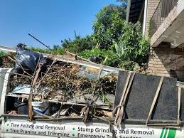 Property Management Cleanouts in Lindon, UT